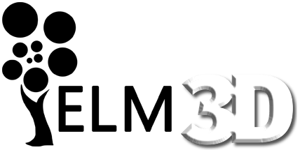 ELM logo 3d